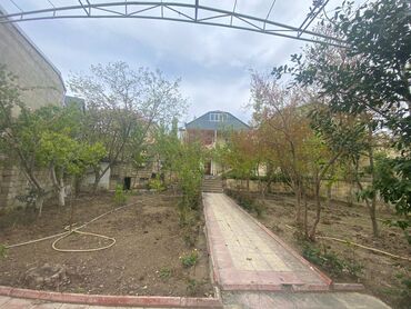 vishnevka torpaq: 8 sot, Mülkiyyətçi, Kupça (Çıxarış)