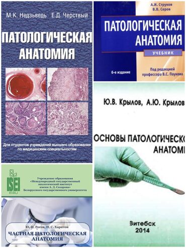 devushki po vyzovy: Имею большой архив медицинской литературы (учебники, методички) по