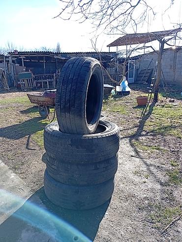 Шины: Продаю 6 штук летних шин 4 из них 16 того размера идеальные. 2 шины — 1