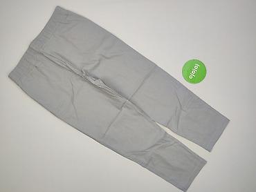 dzik dres: Spodnie dresowe damskie, rozmiar 2XL — 3