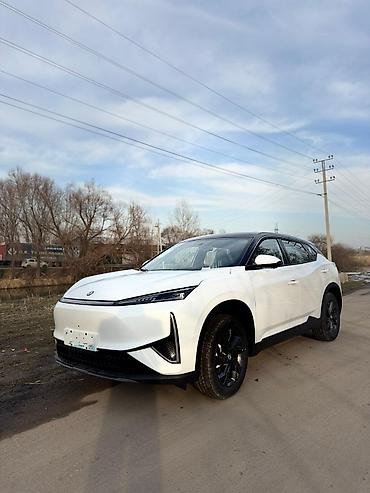 Dongfeng: Dongfeng : 2024 г., 0.1 л, Автомат, Электромобиль, Кроссовер — 7