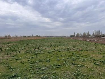 Продажа участков: 118 соток, Для сельского хозяйства — 3
