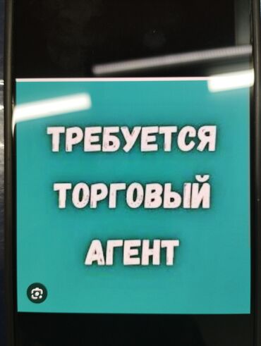 Торговые агенты: Требуется Торговый агент, График: Пятидневка, Без опыта, Оплачиваемый отпуск, Полный рабочий день