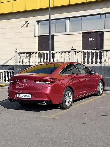 саната дм8: Hyundai Sonata: 2019 г., 2.4 л, Бензин, Седан — 8