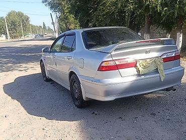 vento vento: Honda Accord: 1999 г., Седан — 1