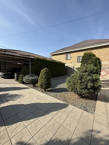 арзан гостиница бишкек: 300 м², 6 бөлмө жана андан көп, Үй-бүлөлүүлөргө — 3