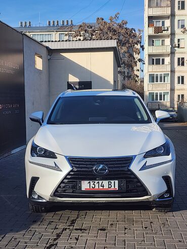 Lexus: Lexus NX: 2019 г., 2 л, Автомат, Бензин, Кроссовер