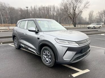 BYD: BYD : 2025 г. — 1