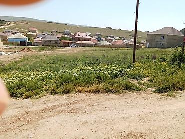 dübəndidə torpaq: 8 sot, Tikinti, Kupça (Çıxarış) — 3