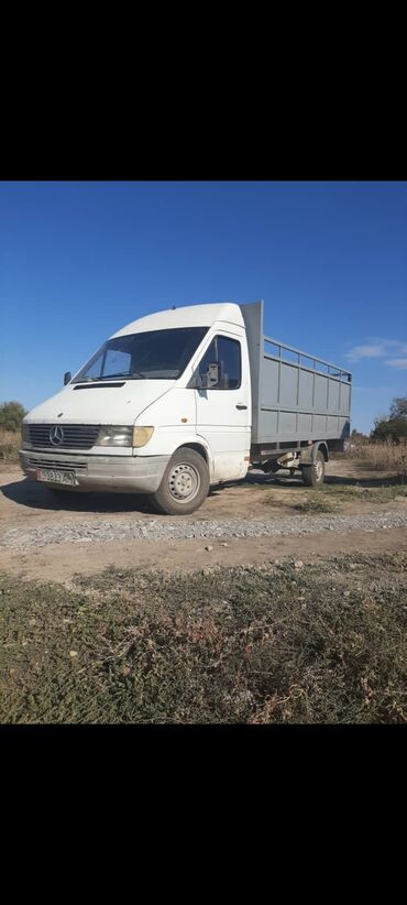 Mercedes-Benz: Mercedes-Benz Sprinter: 1999 г., 2.9 л, Механика, Дизель, Бус