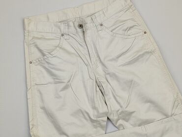 Чоловічі штани L (EU 40), Бавовна, стан - Хороший