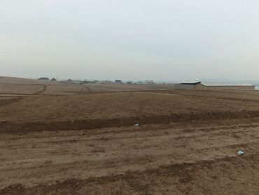 Продажа участков: 1300 соток, Для сельского хозяйства, Договор купли-продажи — 13