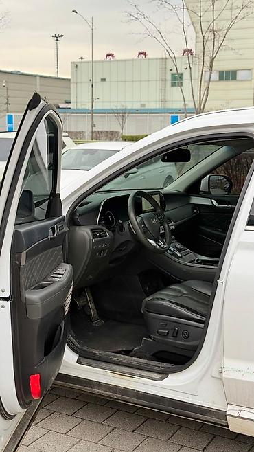 Hyundai: Hyundai Palisade: 2020 г., 2.2 л, Автомат, Дизель, Кроссовер — 10