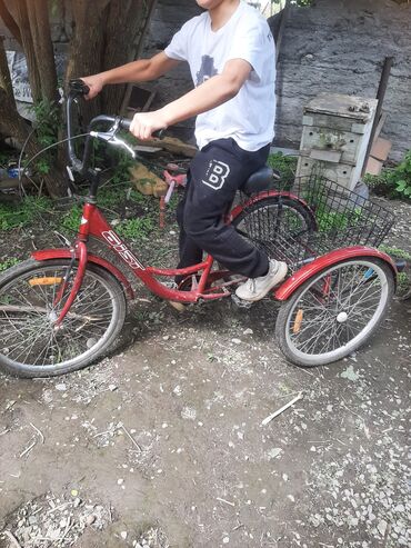 трёхколёсный велосипед детский: Продаю трёхколёсный велосипед для взрослых, белорусский. в отличном