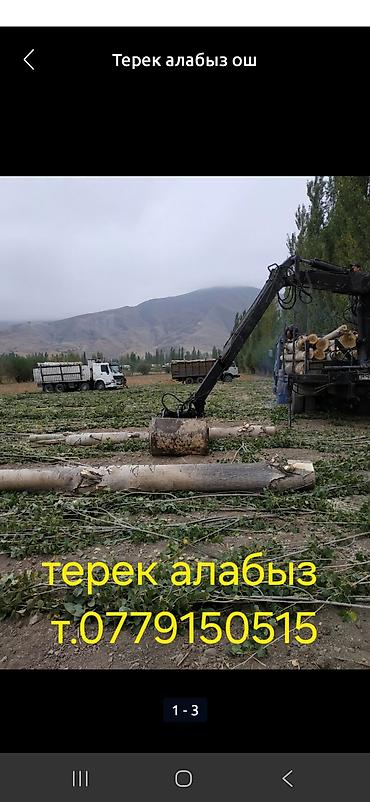 windows xp: Услуги по заготовке и вывозу тополя (терек), Ош и область. - Валка — 3