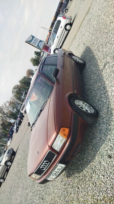 радной краска ауди: Audi 80: 1991 г., 2 л, Механика, Бензин, Седан