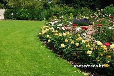 земля коп: 🌿 Ухоженный участок без лишних хлопот! Предлагаем профессиональное — 10