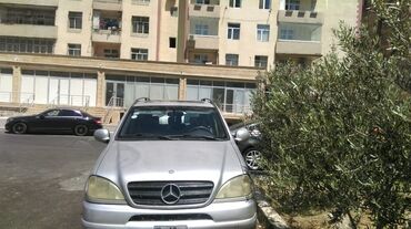 mercedesbenz 320: Mercedes-Benz ML 320: 3.2 l | 1999 il Ofrouder/SUV