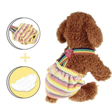 купить ошейник для щенка: Гигиенические трусики на подтяжках. Для собак девочек во время