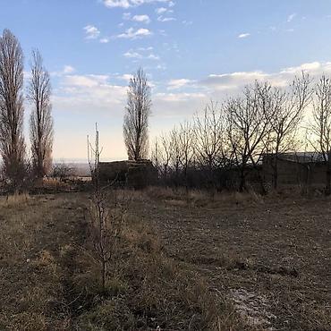 Продажа сельхоз предприятий: Продаётся сельскохозяйственный участок с хозпостройками. - — 5