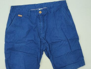 lidl tshirt: 4F, Shorts for men, size L