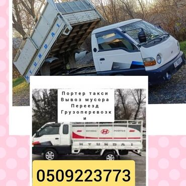 disaar шампунь краска как пользоваться: Вывоз мусора вывоз мусора вывоз мусора вывоз мусора Портер такси