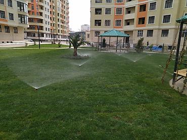 damlama boruları: Suvarma sistemləri! Hər növ suvarma və damlama sisteminin qurulması — 10
