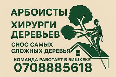 Бактарды кыюу, отундарды даярдоо: Снос аварийных деревьев, опытная команда. Снос, обрезка, повал — 2