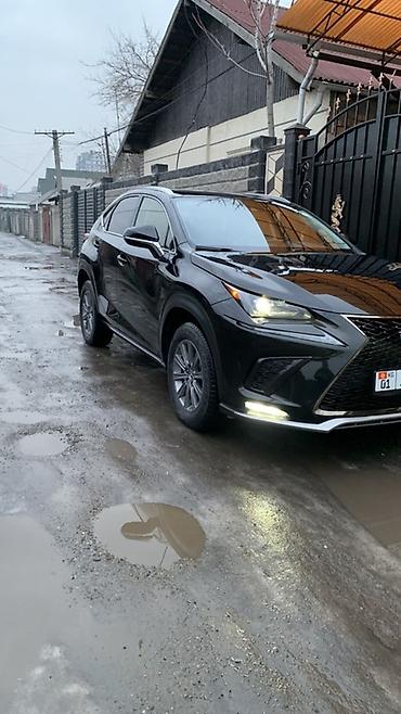 Lexus: Lexus NX: 2019 г., 2 л, Автомат, Бензин, Кроссовер — 2