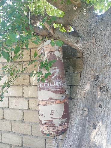 sumka kişi: Boks üçün asma zərbə kisəsi - Tip: Asma boks kisəsi (punching bag) - — 2
