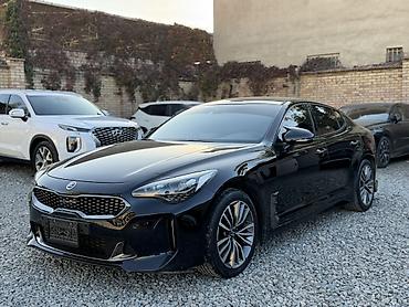 подставки под машину: Kia Stinger: 2018 г., 2.2 л, Автомат, Дизель, Лифтбек — 1