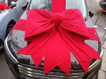 Организация мероприятий: Организация мероприятий | Гелевые шары, Ведущий, тамада, Аниматоры — 29