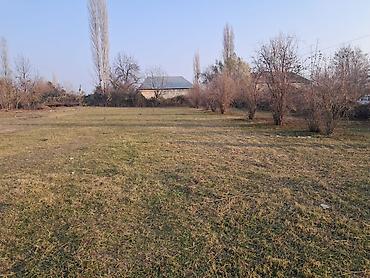 Torpaq sahələrinin satışı: 25 sot, Mülkiyyətçi — 9