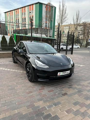 Tesla: Tesla Model 3: 2019 г., Электромобиль, Седан — 2