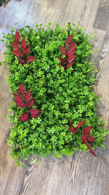 Digər ev dekoru: Kv 25 azn baslayan yasil dekorlar
Her olcude hazrlanr 
Depodan satis — 28