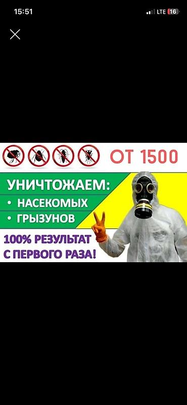 авто б: Дезинфекция, дезинсекция, | Клопы, Блохи, Тараканы, | Транспорт, Офисы, Квартиры — 1
