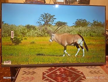 samsung nu7090 55: Shivaki WebOS TV SMART (YOUTUBE,NETFLIX.) — 3