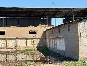 кашао: 20 соток, Для строительства, Красная книга, Договор купли-продажи, Тех паспорт — 10