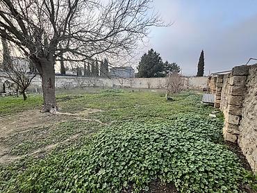 alatava ev: 10 sot, Tikinti, Mülkiyyətçi, Kupça (Çıxarış) — 6
