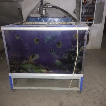 akvarium 120 cm: Akvarium tecili satilir