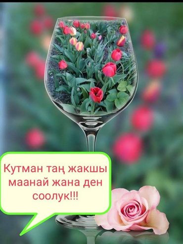 Кутман кун картинки