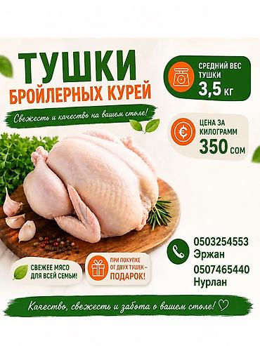 кол килем: Тушки бройлерных кур - Средний вес одной тушки: 3,5 кг - Цена: 350 — 1