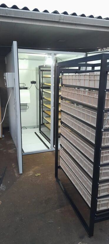 İnkubatorlar: Sənaye tipi inkubator və çıxım kamera sistemi - Böyük həcmli yumurta — 9