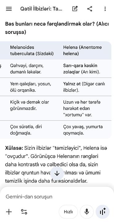 yosun satışı: Akvarium üçün Melanoides tuberculata (Malay boru ilbizləri) - — 5