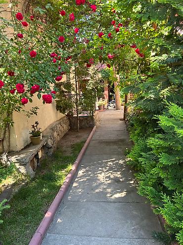 Иссык-Куль 2026: Номер, ГД Султан Бостери, Барбекю, Детская площадка, Закрытый пляж — 14