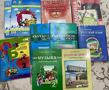 Математика: Подборка школьных учебников и рабочих тетрадей : Есть книги носили — 2