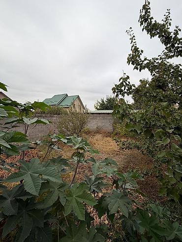 Продажа домов: 2 комнаты, 45 м², 4 соток, Бишкек, Рухий Мурас ж/м Риэлтор — 1