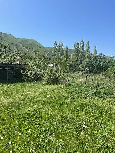 Продажа участков: 8 соток, Красная книга — 11