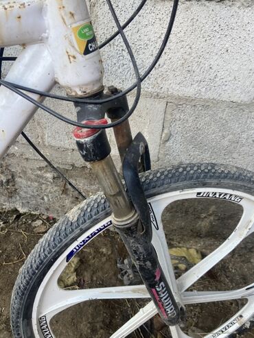 Горные велосипеды: Горный велосипед, Рама M (156 - 178 см), Сталь — 6