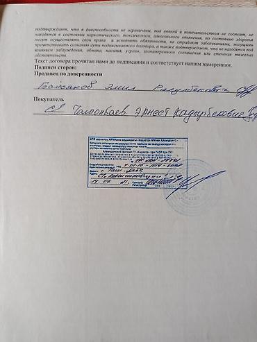 Другие фруктовые и ягодные растения: Продаю или меню на квартира Бишкеке на 2х комнатную. уже на наседеный — 15